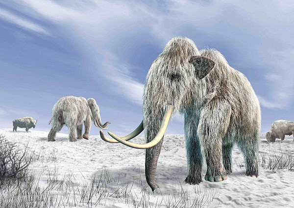 Pohlednice 3D Mamuti