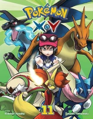 Pokemon X*Y 11