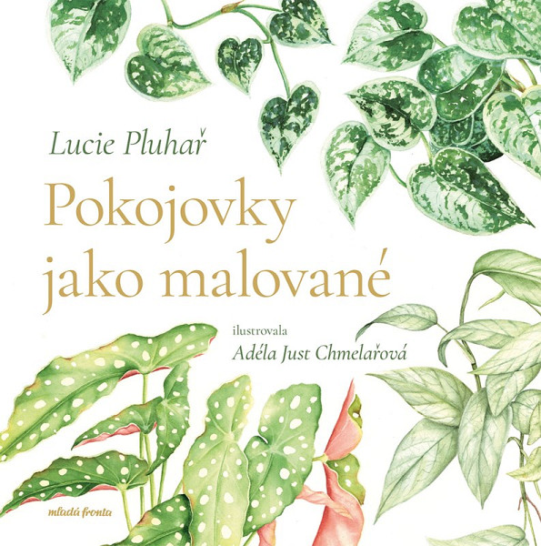Pokojovky jako malované