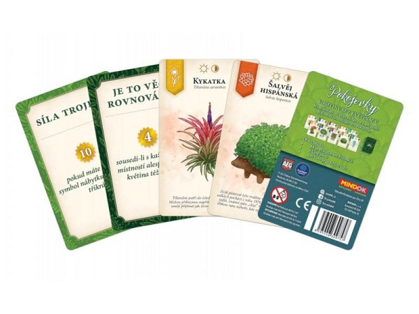 Pokojovky promo balíček