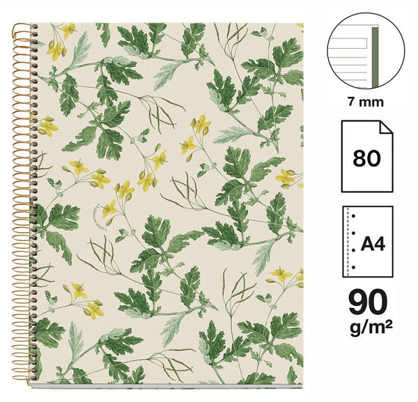 poznámkový blok Entredos NB-1, A4, 90g, karton, 80 listů, linka - Chelindonium