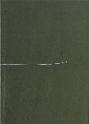 Poznámky o vzducholodích