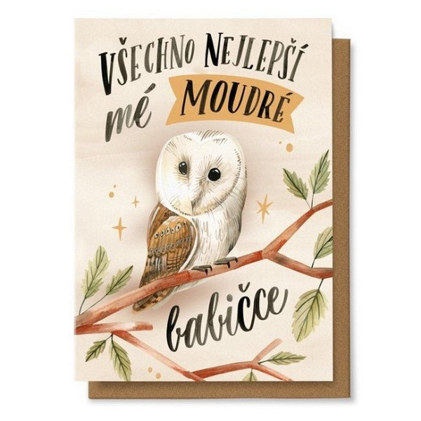 Přání - Včechno nejlepší mé moudré babičce