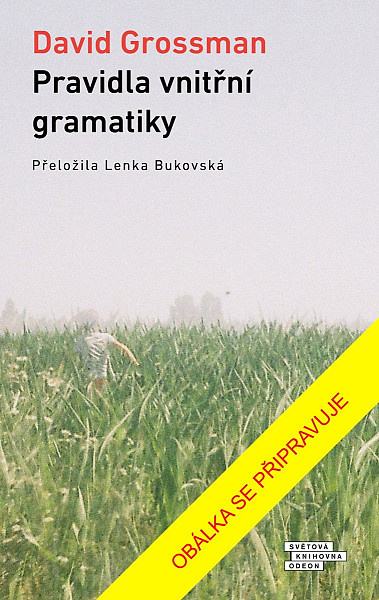 Pravidla vnitřní gramatiky