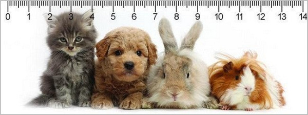 Pravítko 3D - Gang deep