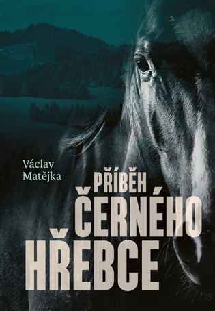 Příběh černého hřebce