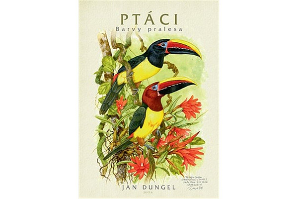 Ptáci Barvy pralesa