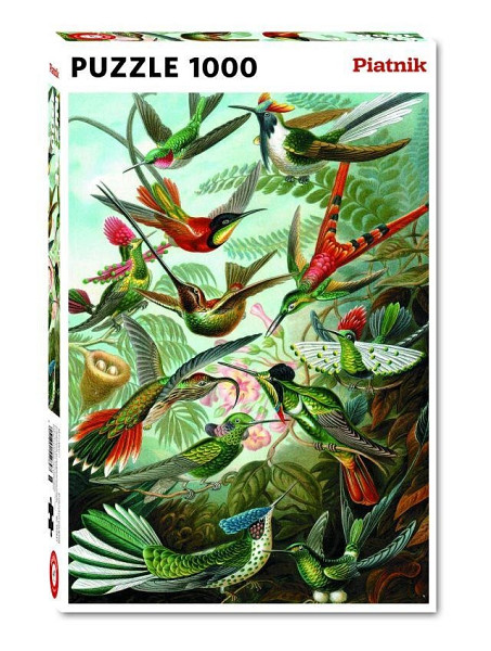 Puzzle Haeckel: Kolibris 1000 dílků