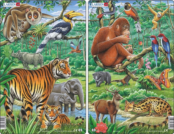 Puzzle MIDI - Zvířata v Indii,JV Asii /29 dílků (2 druhy)