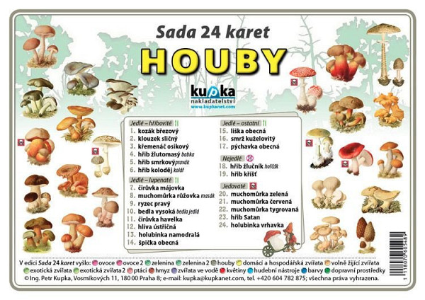 Sada 24 karet - Houby