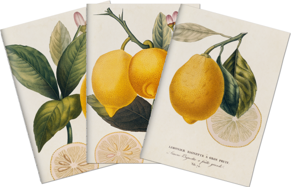 Sada tří notýsků - Lemons