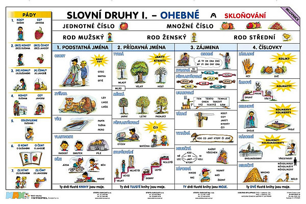Slovní druhy - Slovesa