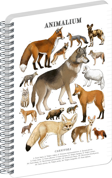 Spirálový blok Animalium - Psovité šelmy, linkovaný, A5