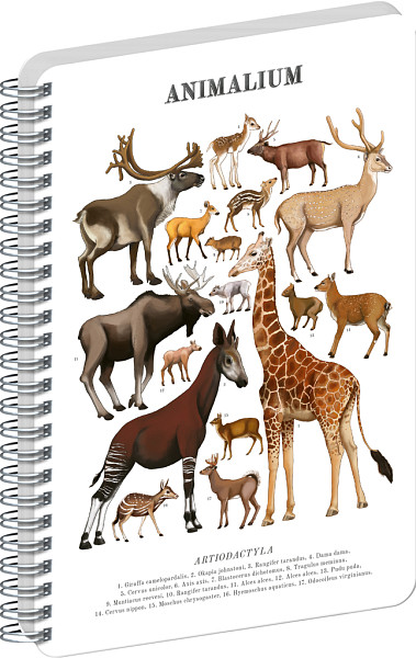 Spirálový blok Animalium - Sudokopytníci, čistý, A5