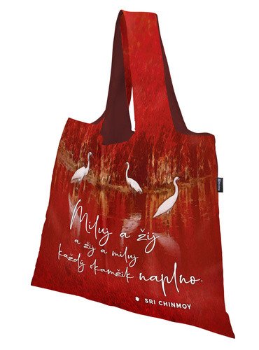 Taška nákupní skládací 50x42cm 