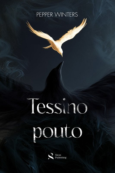 Tessino pouto