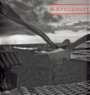 Viktor Kronbauer - Divadelní fotografie / Theatre Photography