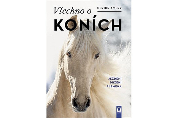 Všechno o koních