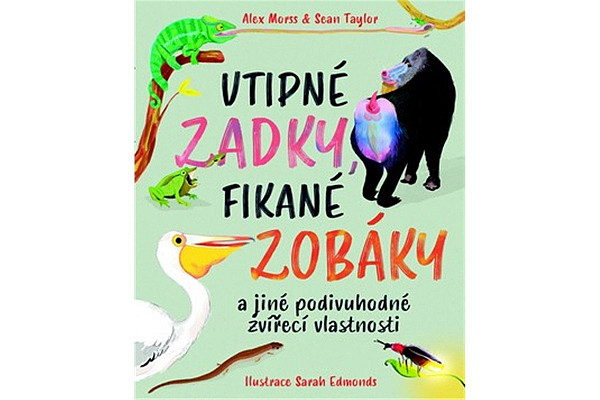Vtipné zadky, fikané zobáky