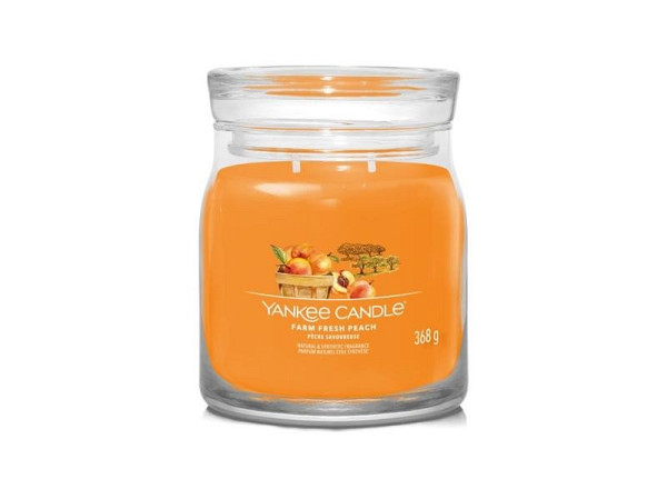 YANKEE CANDLE Farm Fresh Peach svíčka 368g / 2 knoty (Signature střední)