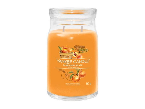 YANKEE CANDLE Farm Fresh Peach svíčka 567g / 2 knoty (Signature velký)