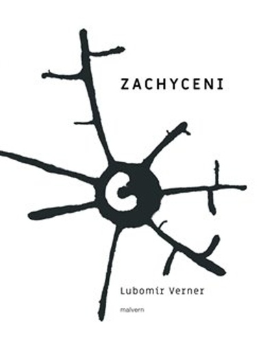 Zachycení