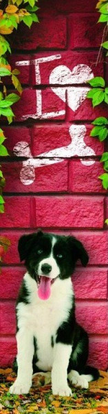 Záložka 3D - Miluji kosti